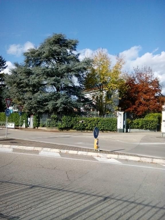 Villa Osmanthus Виченца Екстериор снимка